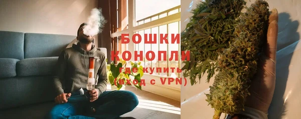 ГАЛЛЮЦИНОГЕННЫЕ ГРИБЫ Каменка