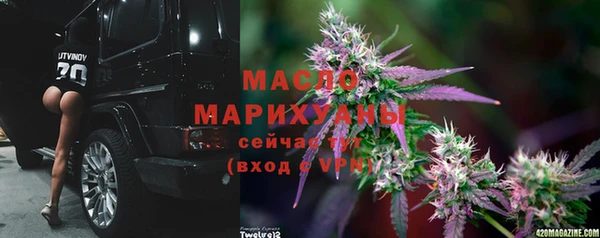 гашик Каменногорск