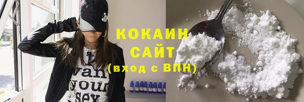 гашик Каменногорск