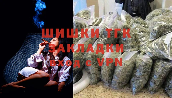 ГАЛЛЮЦИНОГЕННЫЕ ГРИБЫ Каменка