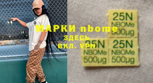 ГАЛЛЮЦИНОГЕННЫЕ ГРИБЫ Каменка