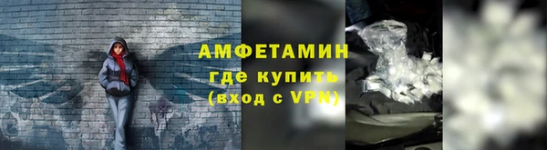 ГАЛЛЮЦИНОГЕННЫЕ ГРИБЫ Каменка