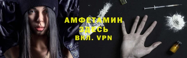ГАЛЛЮЦИНОГЕННЫЕ ГРИБЫ Каменка