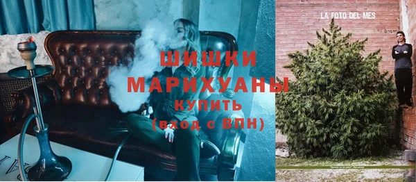 гашик Каменногорск