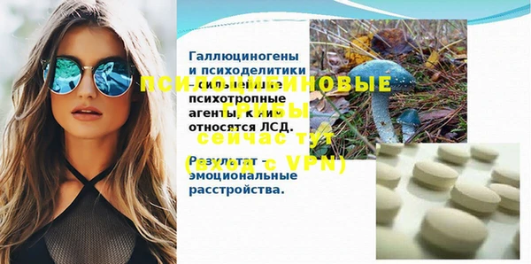 дживик Каменск-Шахтинский