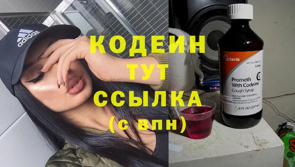 ГАЛЛЮЦИНОГЕННЫЕ ГРИБЫ Каменка