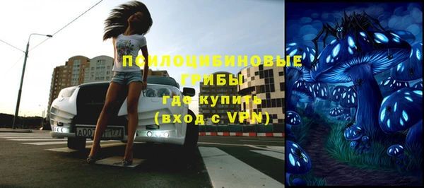 гашик Каменногорск
