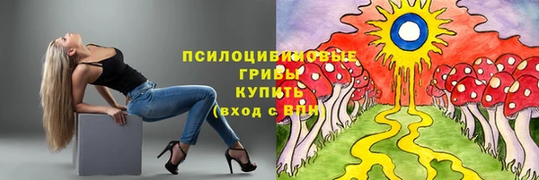 ГАЛЛЮЦИНОГЕННЫЕ ГРИБЫ Каменка