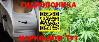 соль ск Балахна