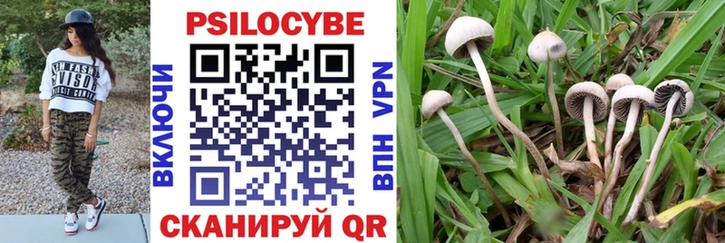 Галлюциногенные грибы прущие грибы Кинель
