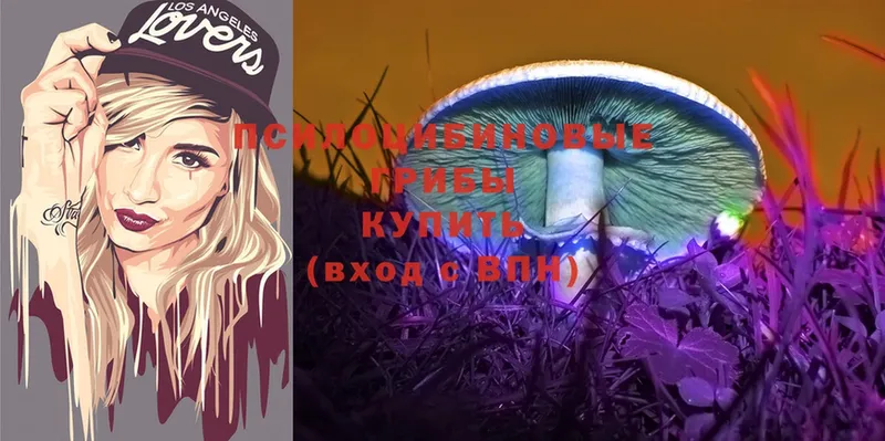 Псилоцибиновые грибы Magic Shrooms  OMG рабочий сайт  Кинель 