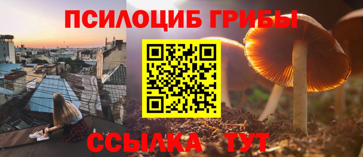 Галлюциногенные грибы мицелий Кинель